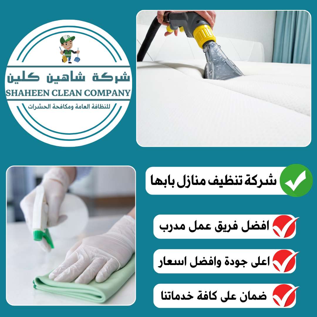 شركة تنظيف منازل بابها