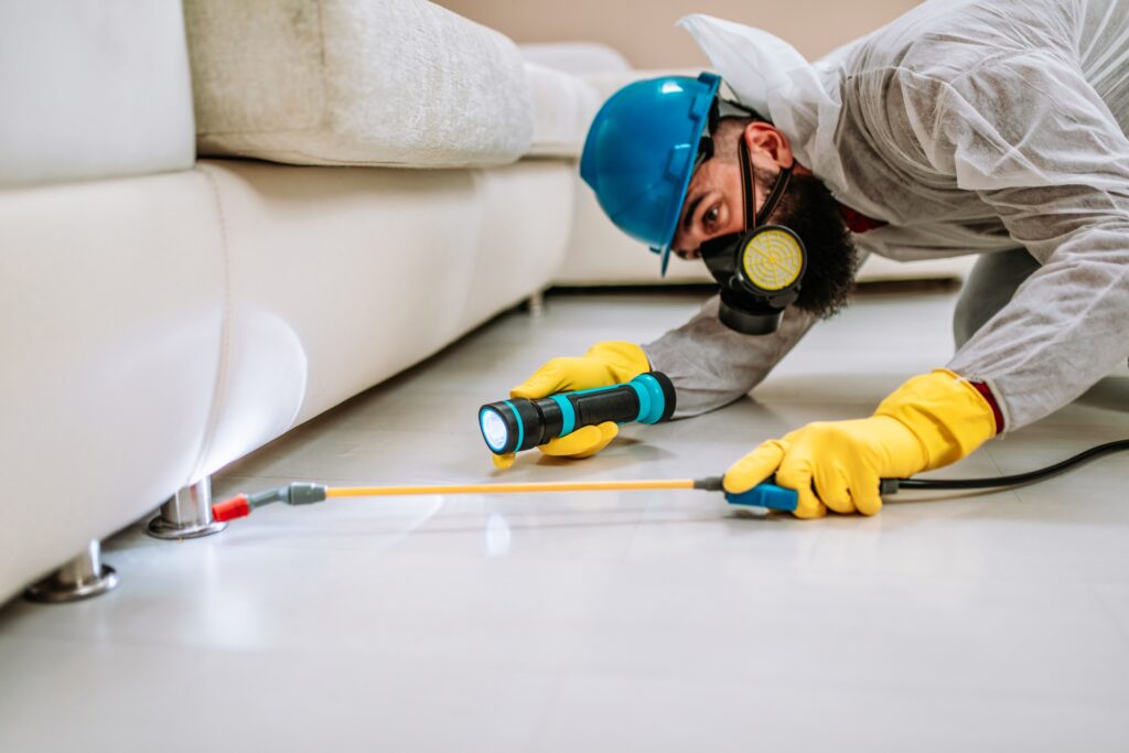 شركة مكافحة حشرات بخميس البحر