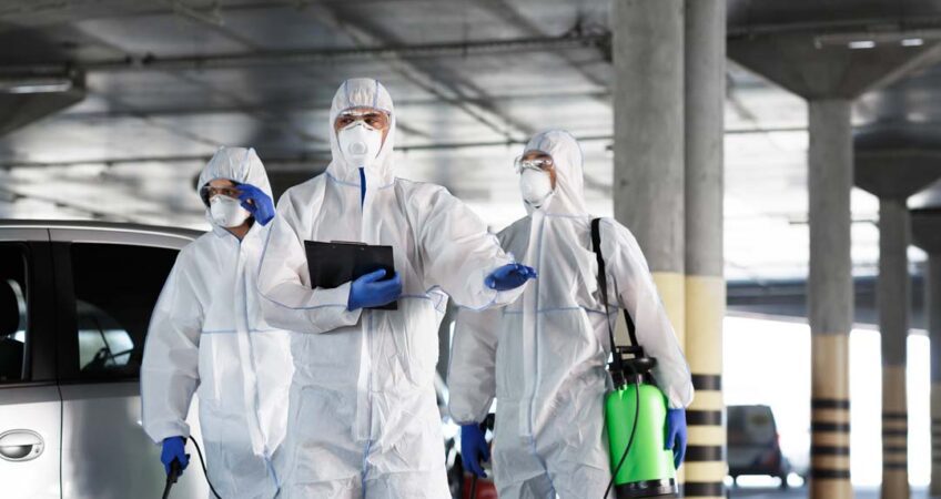 شركة مكافحة حشرات بخميس مطير