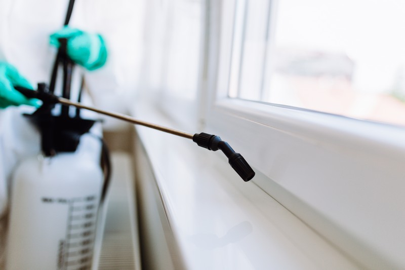 شركة مكافحة حشرات برجال ألمع