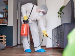 شركة مكافحة حشرات بقنا