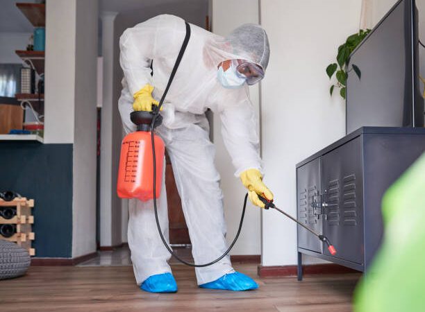 شركة مكافحة حشرات بقنا