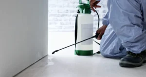 شركة مكافحة حشرات بسراة عبيدة